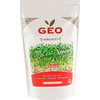 Geo Broccolifrø Til Spiring Økologisk - 300 g