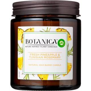 Air Wick Botanica Caribbean vetiver & Sandalwood Candle 120 g