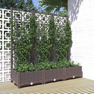 Plantekasse Med Espalier 40X40X121,5 Cm Pp - Brun / 120 x 40 x 121.5 cm