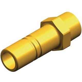 Adapter Whale Stem Adaptor, messing, Whale Quick Connect 15 mm (WS15) (indvendig) til 3/8" (NPT) (udvendig), messingfarvet, 1 styk