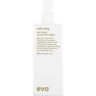 Evo Salty Dog Salt Spray - 200ml - Hos Frisøren & Baronen