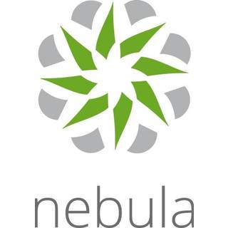 ZYXEL Nebula Professional Pack Lic 1M