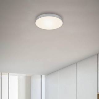 Flame LED-loftslampe, Ø 21,2 cm, sølv