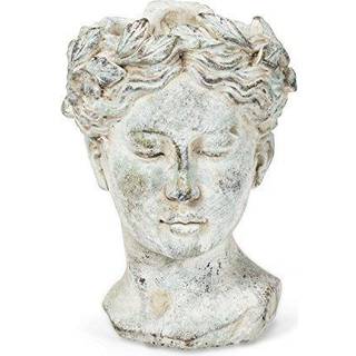 Abbott Collection Goddess Head Planter - Lille cement indendørs og udendørs planterpotte - Grecian Woman Statue Head Planter for blomster og sukk