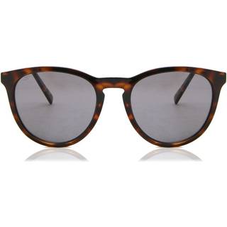 Sunglasses Serengeti Brawley SS556001