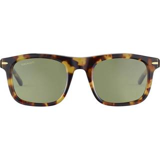 Serengeti Charlton SS576006 52 Solbriller Mænd Tortoiseshell - Shiny Classic Havana - 52mm
