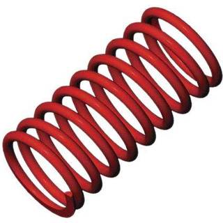 Traxxas 5442 Shock Springs GTR Red (4.9 Rate Silver) (2)