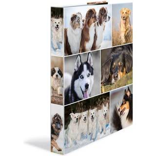 HERMA Ring binder A4 cardboard 4D dogs