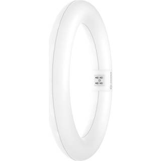 Ledvance LED Lysrør T9 Value Rundt (EM/Mains) 11W 1320lm - 865 dagslys | erstatter 22W