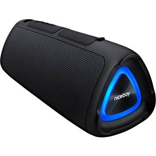 Niceboy Raze Fusion 10W Radio & Bluetooth højtaler, Sort