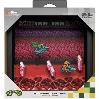 Pixel Frames - Battletoads: Turbo Tunnel - Billede