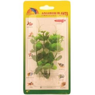 Meadow Hygrophila plastic 10 cm