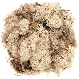 Islandmoos 50g - Natur
