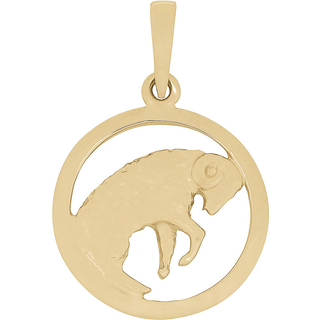 Stjernetegn i 8 karat guld - VÆDDEREN. 12 mm.