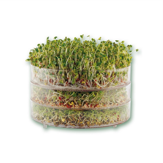Bioforce Germinator fladt låg, 1 stk