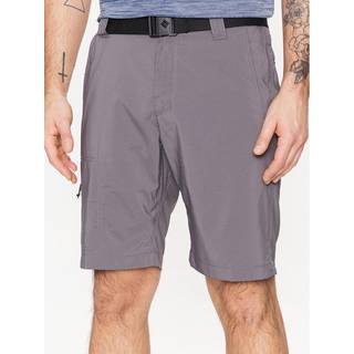 Silver Ridge Utilizer Shorts - City Grey