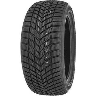 Infinity Ecozen XL 195/65R15 95T