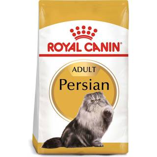 Persian Adult - 10 kg