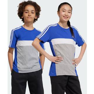 Tiberio 3-Stripes Colorblock Cotton Kids T-shirt - Semi Lucid Blue / Medium Grey Heather / White - 164