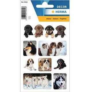 Herma: Hundehvalpe klistermærke