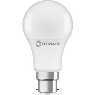 Ledvance Performance LED Pære B22d Pære matt 8.5W 806lm - 827 ekstra varm hvid | erstatter 60W