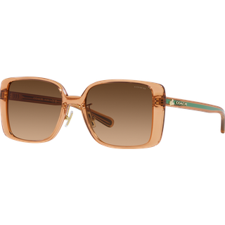 Coach HC8375 CH562 Asian Fit 574974 56 Solbriller Kvinder Brun - Transparent Brown - 56mm