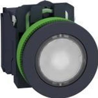 Schneider Lampetryk flush komp hvid led 230v no+nc