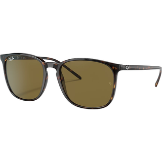 Ray - Ban Unisex RB4387F 902/73 Solbriller Acetat Skildpadde Brun Firkantet Normal