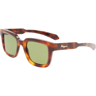 Ferragamo Mand SF1064S 240 Solbriller Acetat Havana Grøn Firkantet Normal
