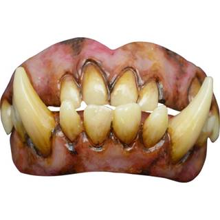 Oger FX Zähne mit Thermo Plast