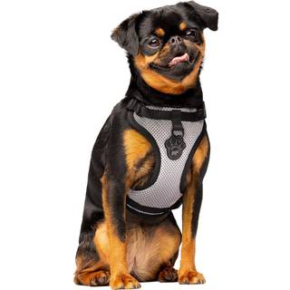 Canada pooch Everything No Pull Dog Harness - Easy Walk Harnes