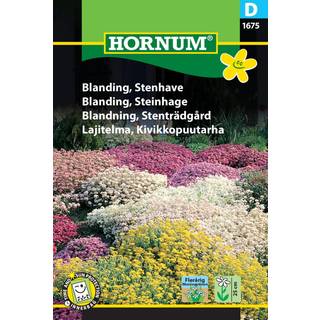 Stenhave blanding - Flerårig blomsterglæde - Blomsterfrø