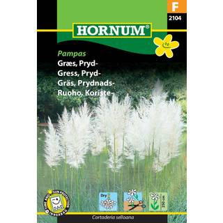 Pampas prydgræs græsfrø. Store fjerlignende blomsterstanden - Blomsterfrø / Græsfrø