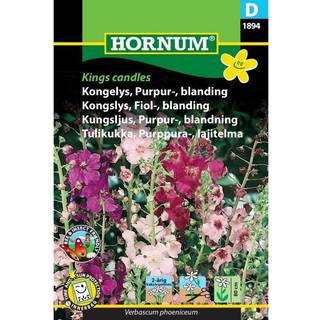 Kongelys purpur blanding - Nem og bivenlig - Blomsterfrø