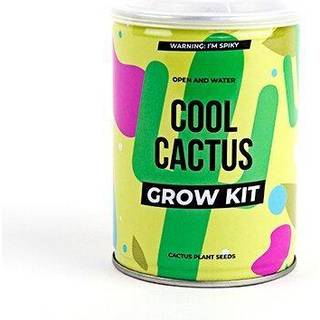 Plant selv kit - Kaktus