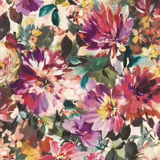 Tahiti Fuchsia - W0145/02