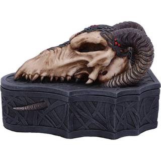 Dragon Skull Totenkopf Box 17,7cm