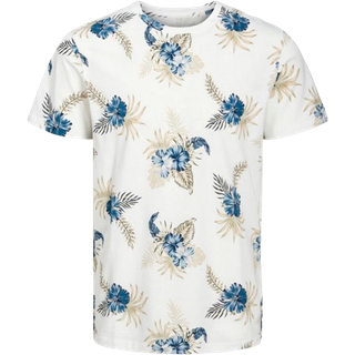 JJBECS AOP TEE SS CREW NECK