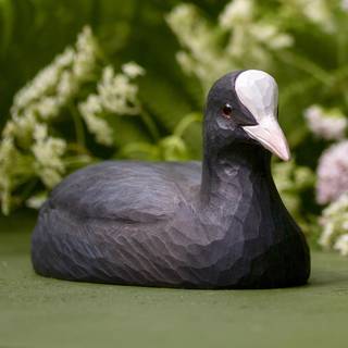 Wildlife Garden - DecoBird - Blishøne