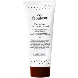 Evo Fabuloso Cool Brown Colour Boosting Treatment 220 ml