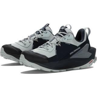 Salomon Women's Elixir GORE-TEX Carbon/Pearl Blue/Flint Stone, 36 2/3