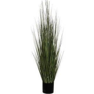 Græsser 122 cm høj