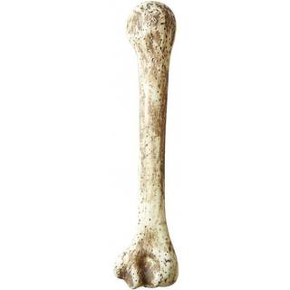 Knogle