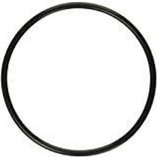 Pentair 272541 O-ring udskiftningspulje/spa-filter og ventil sort