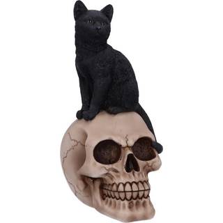 Schwarze Katze auf Totenkopf 24,3cm