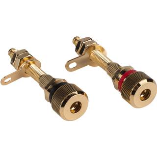 Dayton Audio BPA-38G, guldpläterad högtalarterminal
