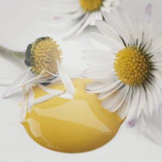 Warm yellow gul kalkmaling