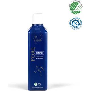 Foal Shampoo