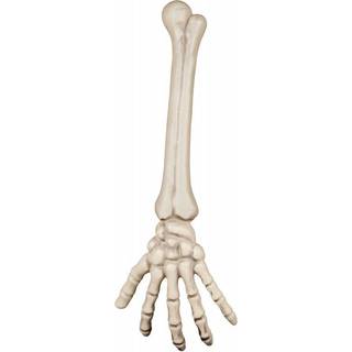Skelet arm 45 cm