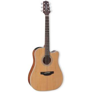 Takamine GD20-NS Western Guitar (Natur)